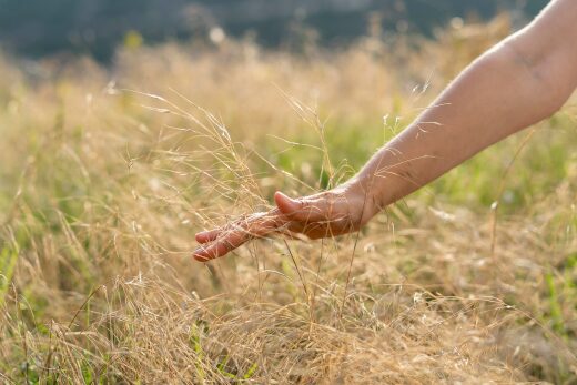 Körpertherapie Therapiegruppe Hamburg - Körper-Bewusst-Sein: vom Wissen zum Fühlen - Praxis Susanne Marquardt