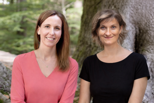 therapeutinnen-intensiv-wochenende-selbsterfahrungsgruppe-nah-bei-mir Selbsterfahrungsgruppe Susanne Marquardt Anka Falk Selbstindung Wochenende Nah bei mir